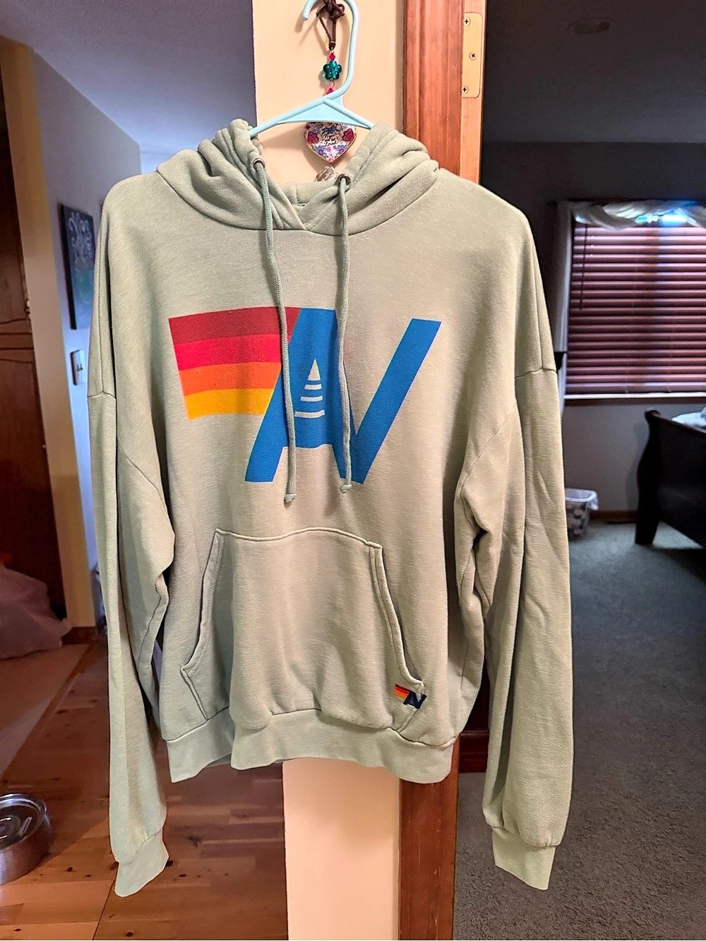 Aviator Nation Logo Pullover Hoodie Green & Blue Small